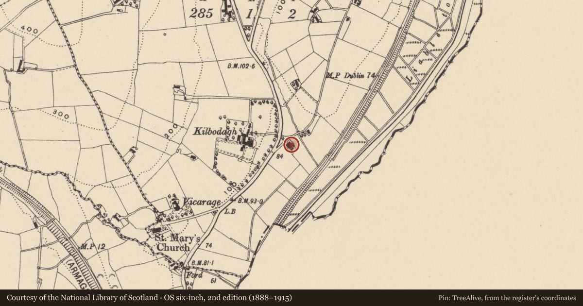 Ordnance Survey six-inch map, 2nd edition (1888–1915) covering the location of 3 Ashtree Hill, Newry, Mourne and Down, with a pin at the register's coordinates
