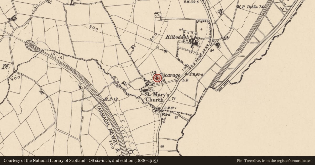 Ordnance Survey six-inch map, 2nd edition (1888–1915) covering the location of St.mary'S Vicarage, Newry, Mourne and Down, with a pin at the register's coordinates
