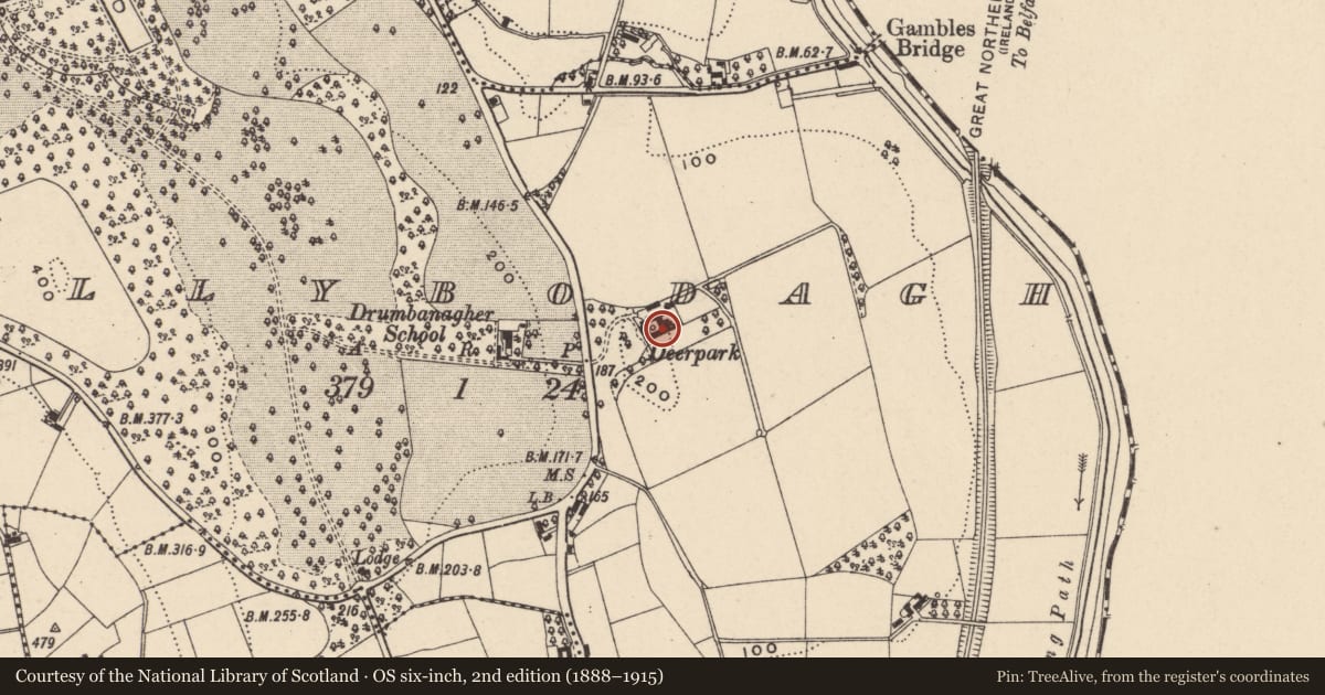 Ordnance Survey six-inch map, 2nd edition (1888–1915) covering the location of DEERPARK, Newry, Mourne and Down, with a pin at the register's coordinates