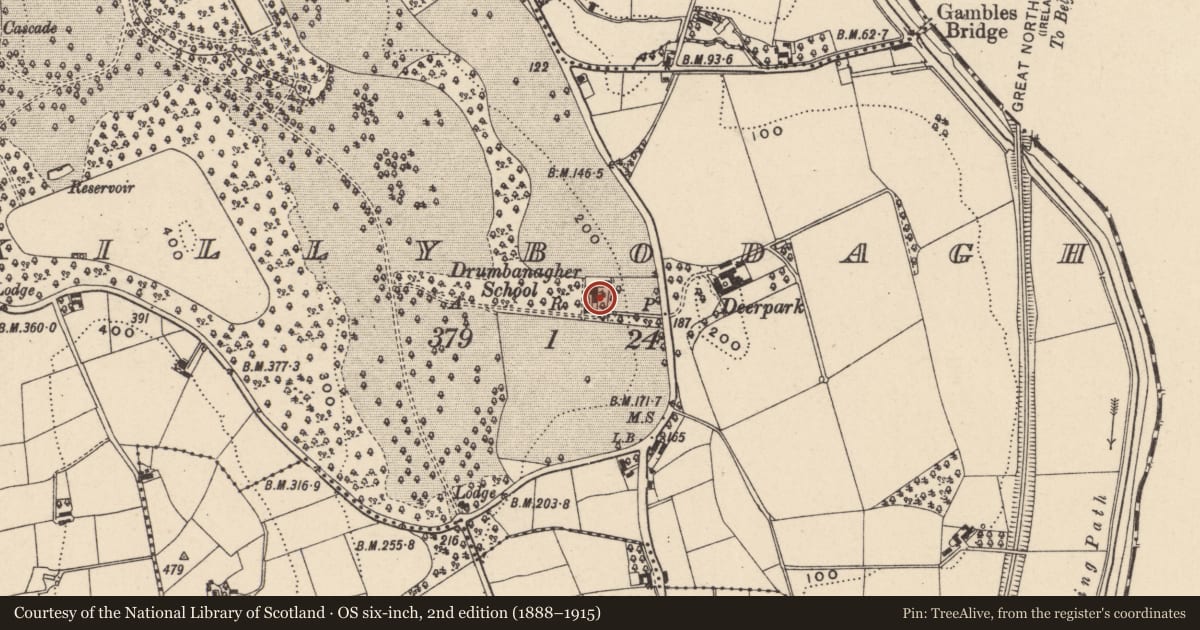 Ordnance Survey six-inch map, 2nd edition (1888–1915) covering the location of 176 Tandragee Road, Newry, Mourne and Down, with a pin at the register's coordinates