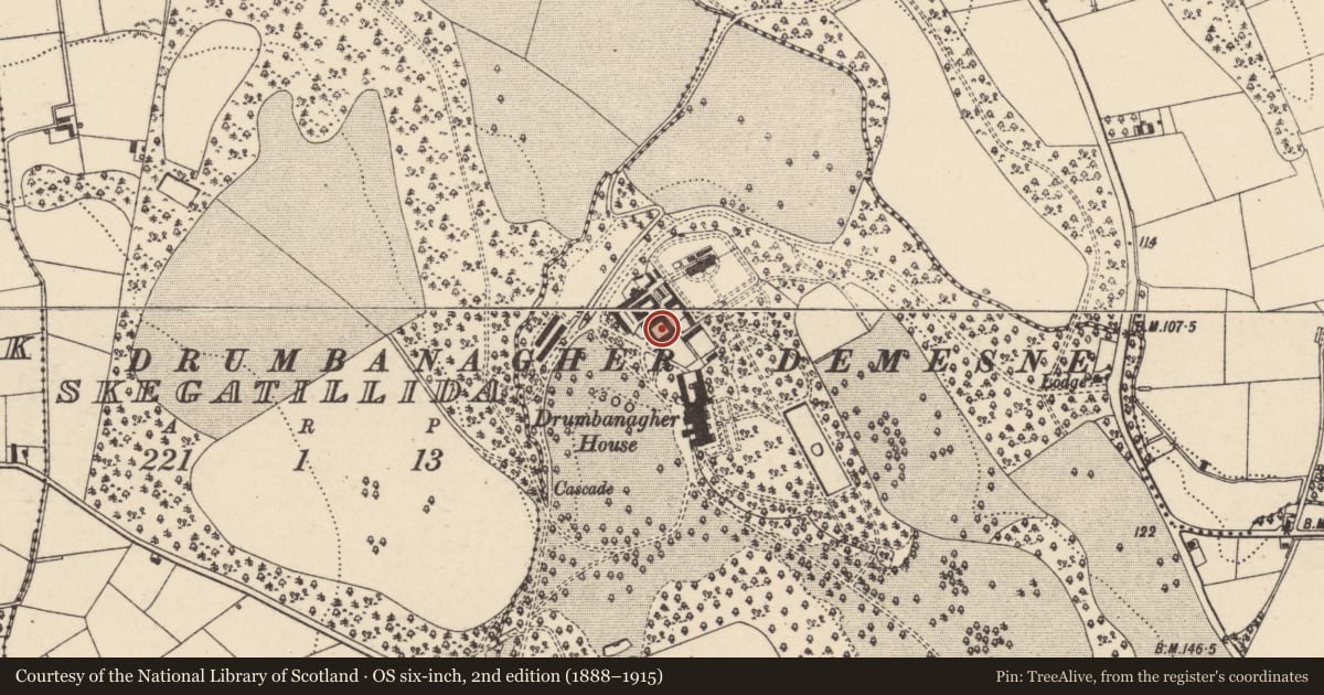 Ordnance Survey six-inch map, 2nd edition (1888–1915) covering the location of 9 Drumbanagher Wall, Newry, Mourne and Down, with a pin at the register's coordinates