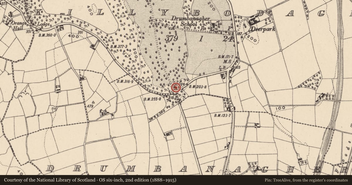 Ordnance Survey six-inch map, 2nd edition (1888–1915) covering the location of 3 Drumbanagher Wall, Newry, Mourne and Down, with a pin at the register's coordinates