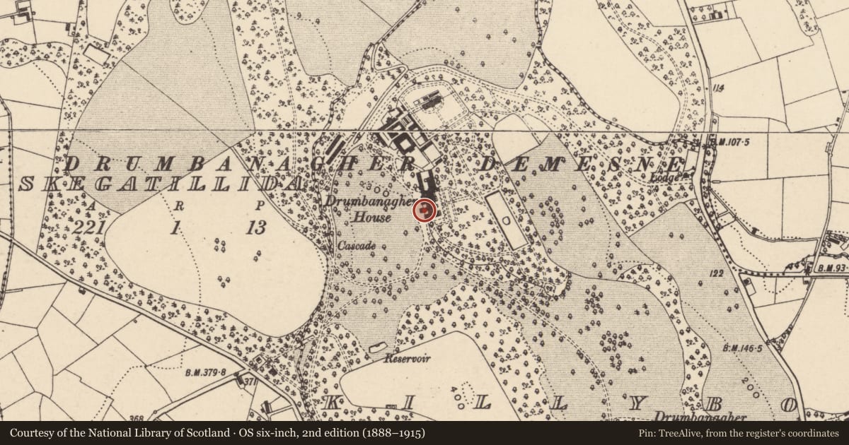 Ordnance Survey six-inch map, 2nd edition (1888–1915) covering the location of Port-Cochere Of Former Drumbanagher House, Newry, Mourne and Down, with a pin at the register's coordinates