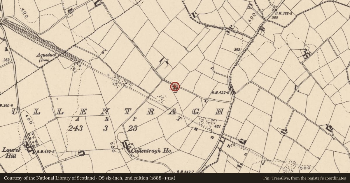 Ordnance Survey six-inch map, 2nd edition (1888–1915) covering the location of 6 Lisnagree Road, Cullentragh, with a pin at the register's coordinates