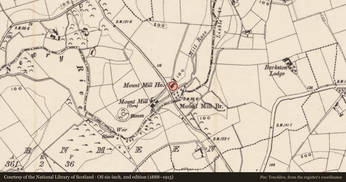 Ordnance Survey six-inch map, 2nd edition (1888–1915) covering the location of Mount Mill House, Newry, Mourne and Down, with a pin at the register's coordinates