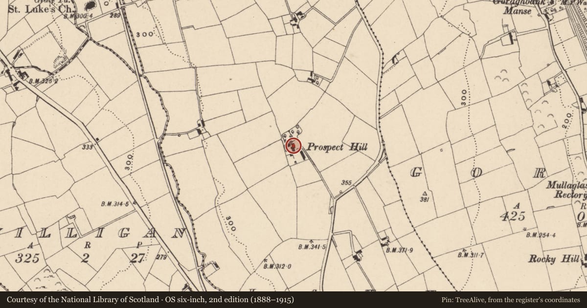 Ordnance Survey six-inch map, 2nd edition (1888–1915) covering the location of Prospect Hill, Newry, Mourne and Down, with a pin at the register's coordinates