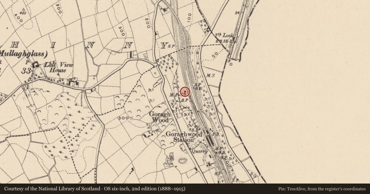 Ordnance Survey six-inch map, 2nd edition (1888–1915) covering the location of Goraghwood Station, Newry, Mourne and Down, with a pin at the register's coordinates