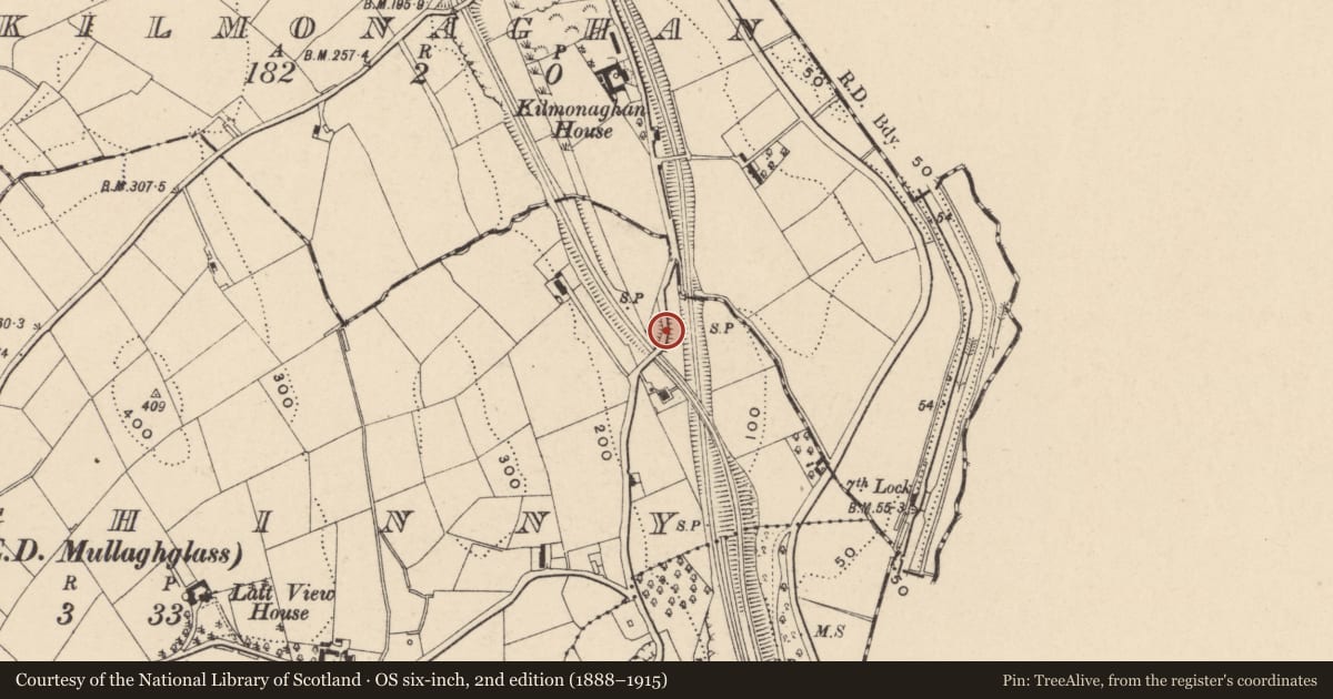 Ordnance Survey six-inch map, 2nd edition (1888–1915) covering the location of Bridge 1, Newry, Mourne and Down, with a pin at the register's coordinates