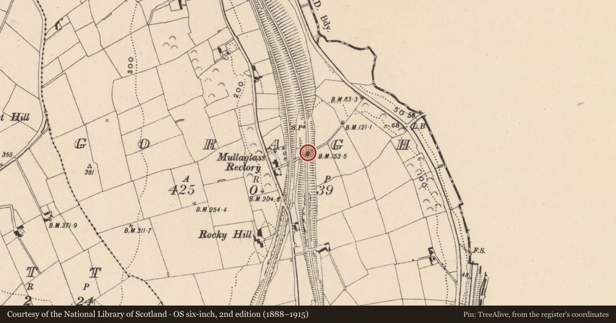 Ordnance Survey six-inch map, 2nd edition (1888–1915) covering the location of BRIDGE, Newry, Mourne and Down, with a pin at the register's coordinates