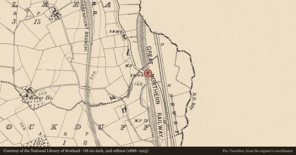 Ordnance Survey six-inch map, 2nd edition (1888–1915) covering the location of Rail Bridge over Tandragee Road, Newry, Mourne and Down, with a pin at the register's coordinates