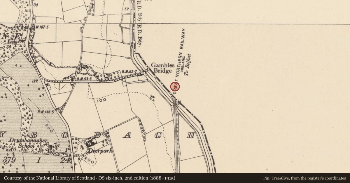 Ordnance Survey six-inch map, 2nd edition (1888–1915) covering the location of Rail Bridge Dromantine Hill Newry Co Down BT35 6TG, Drumantine, Newry, Mourne and Down, with a pin at the register's coordinates