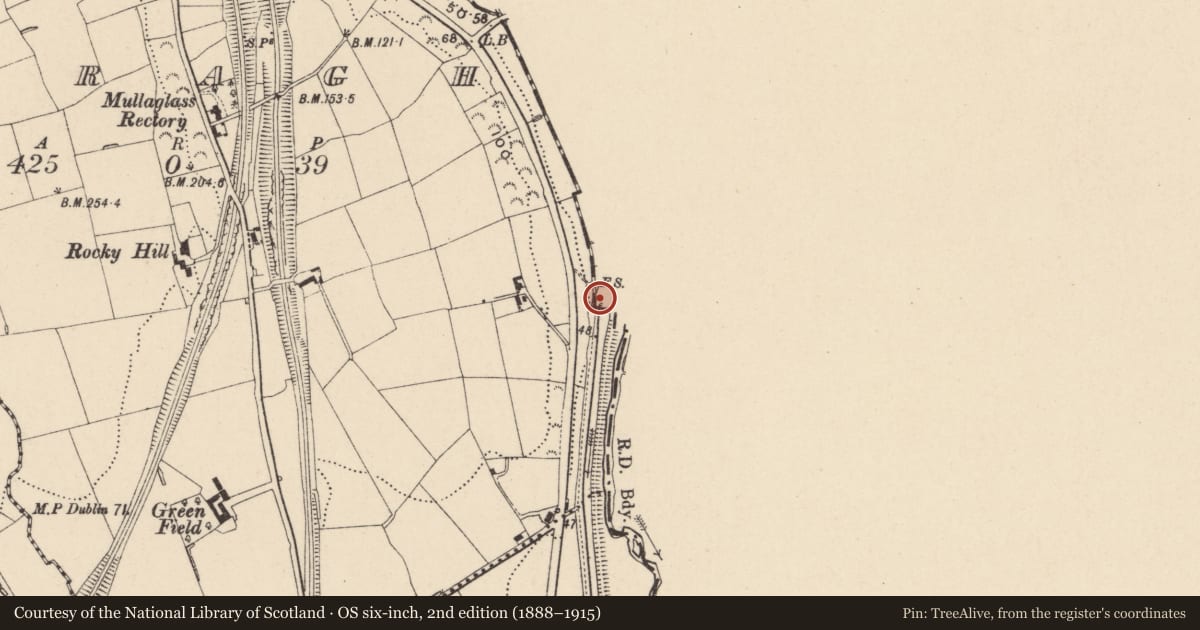 Ordnance Survey six-inch map, 2nd edition (1888–1915) covering the location of Bridge beside lock of former Newry Canal, Newry, Mourne and Down, with a pin at the register's coordinates
