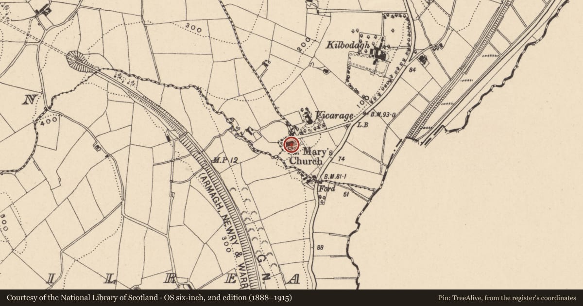 Ordnance Survey six-inch map, 2nd edition (1888–1915) covering the location of St. Mary'S C OF I CHURCH, Newry, Mourne and Down, with a pin at the register's coordinates