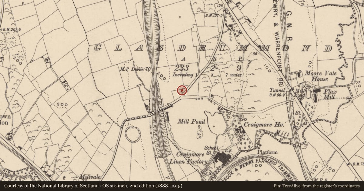 Ordnance Survey six-inch map, 2nd edition (1888–1915) covering the location of Cottage 6, Newry, Mourne and Down, with a pin at the register's coordinates