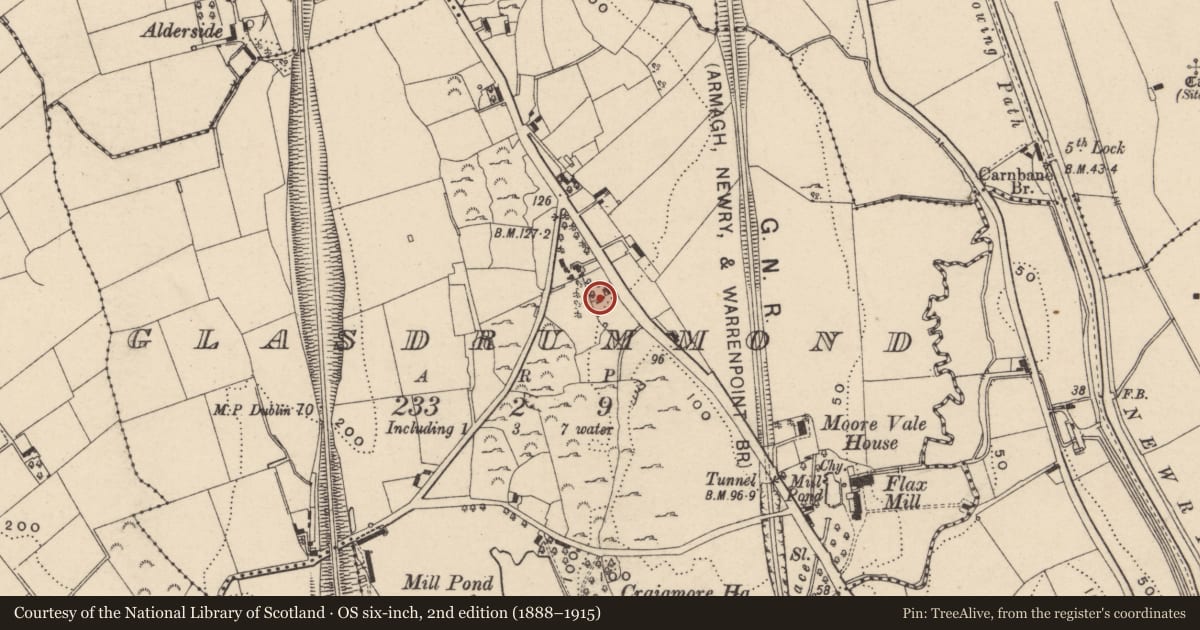 Ordnance Survey six-inch map, 2nd edition (1888–1915) covering the location of Cottage 5, Newry, Mourne and Down, with a pin at the register's coordinates
