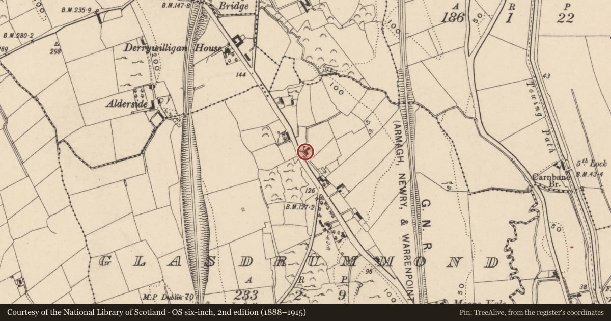 Ordnance Survey six-inch map, 2nd edition (1888–1915) covering the location of Rockview, Newry, Mourne and Down, with a pin at the register's coordinates
