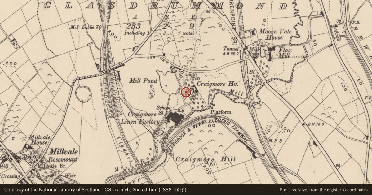 Ordnance Survey six-inch map, 2nd edition (1888–1915) covering the location of Craigmore House, Newry, Mourne and Down, with a pin at the register's coordinates