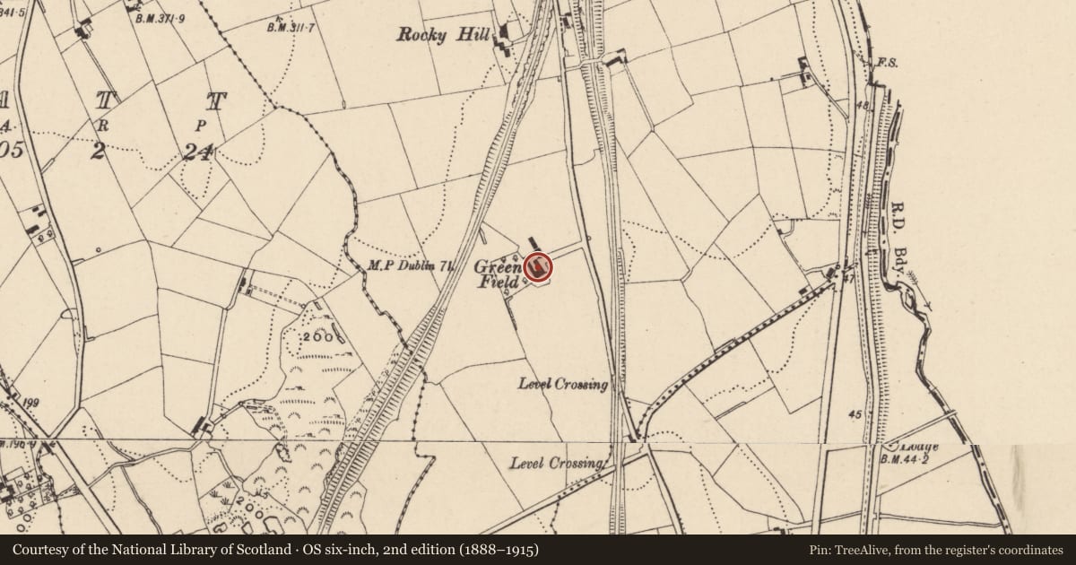 Ordnance Survey six-inch map, 2nd edition (1888–1915) covering the location of Greenfield, Newry, Mourne and Down, with a pin at the register's coordinates