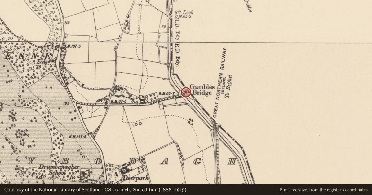 Ordnance Survey six-inch map, 2nd edition (1888–1915) covering the location of Gambles Road Bridge, Armagh City, Banbridge and Craigavon, with a pin at the register's coordinates