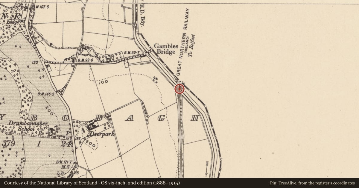 Ordnance Survey six-inch map, 2nd edition (1888–1915) covering the location of Gambles Railway Bridge Newry Canal towpath Killybodagh Road Newry BT35 6TG, Newry, Mourne and Down, with a pin at the register's coordinates