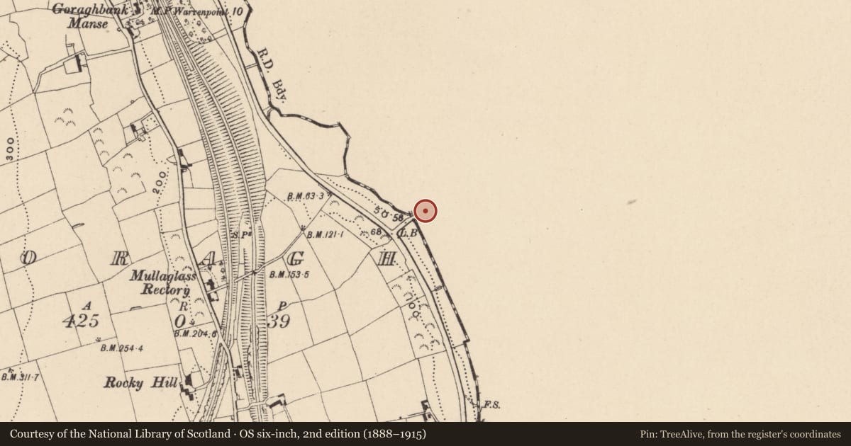Ordnance Survey six-inch map, 2nd edition (1888–1915) covering the location of Steenson'S Bridge, Newry, Mourne and Down, with a pin at the register's coordinates