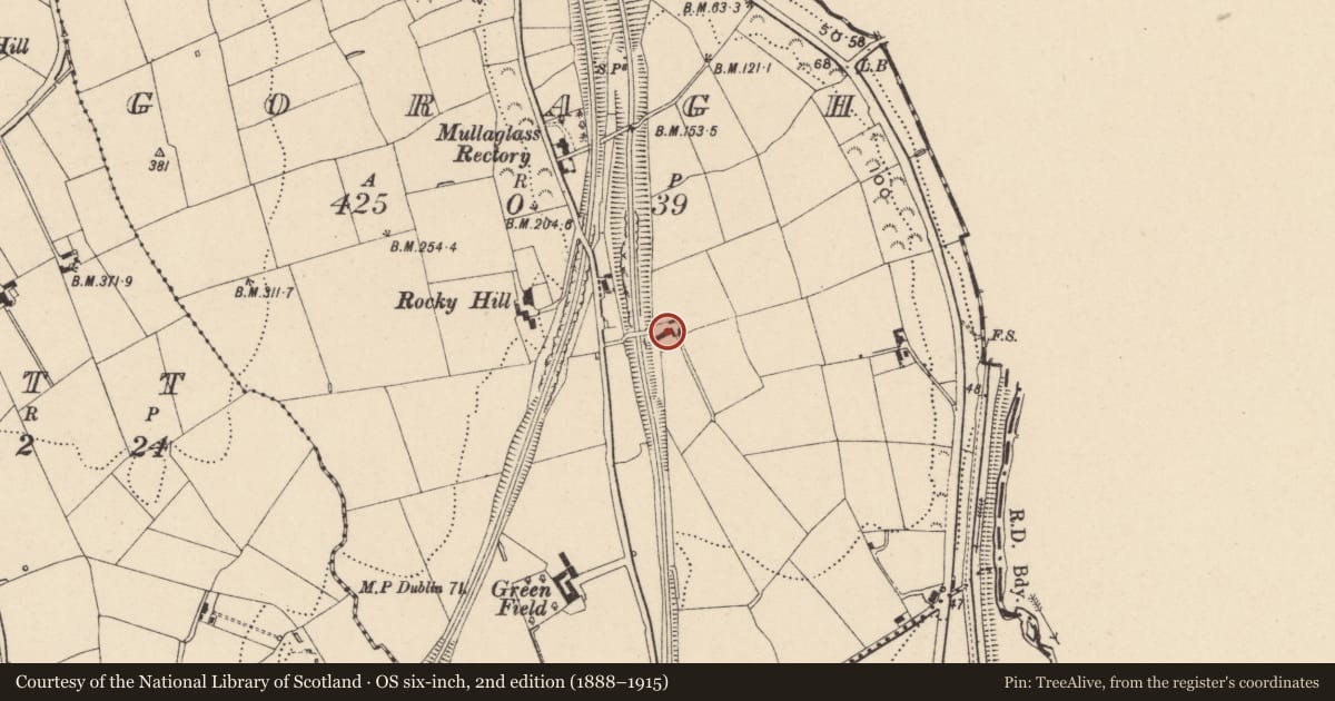 Ordnance Survey six-inch map, 2nd edition (1888–1915) covering the location of 11 Kilmonaghan Road Goragh Newry Co.Down BT35 6QF, Newry, Mourne and Down, with a pin at the register's coordinates
