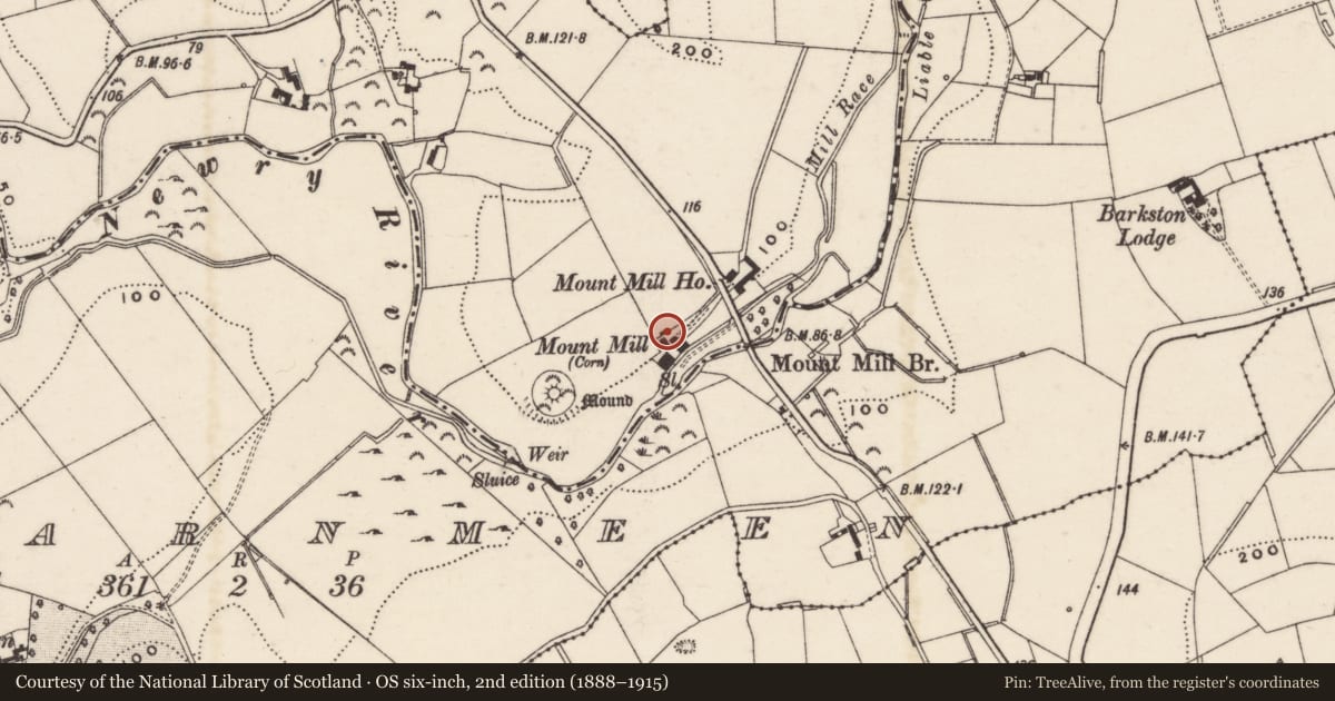 Ordnance Survey six-inch map, 2nd edition (1888–1915) covering the location of Mount Mills Former Corn Mill Glen Road Drummiller Newry Co.Down BT34 1QS, Newry, Mourne and Down, with a pin at the register's coordinates