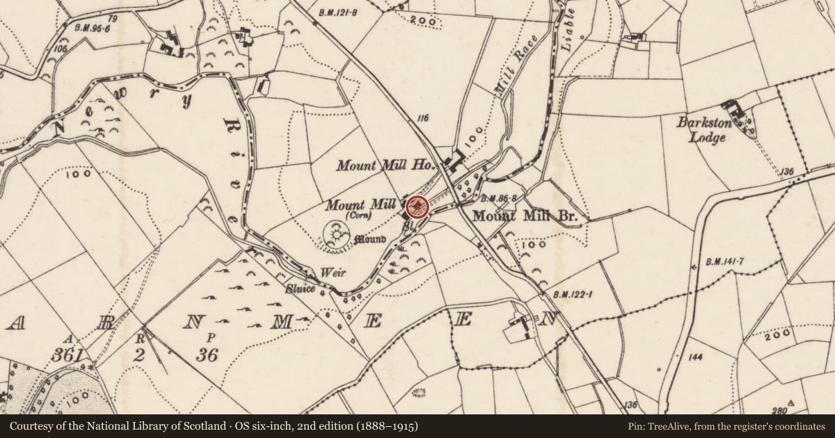 Ordnance Survey six-inch map, 2nd edition (1888–1915) covering the location of Drover's Cottage Mount Mill Glen Road Drummiller Newry Co.Down BT34 1QS, Newry, Mourne and Down, with a pin at the register's coordinates