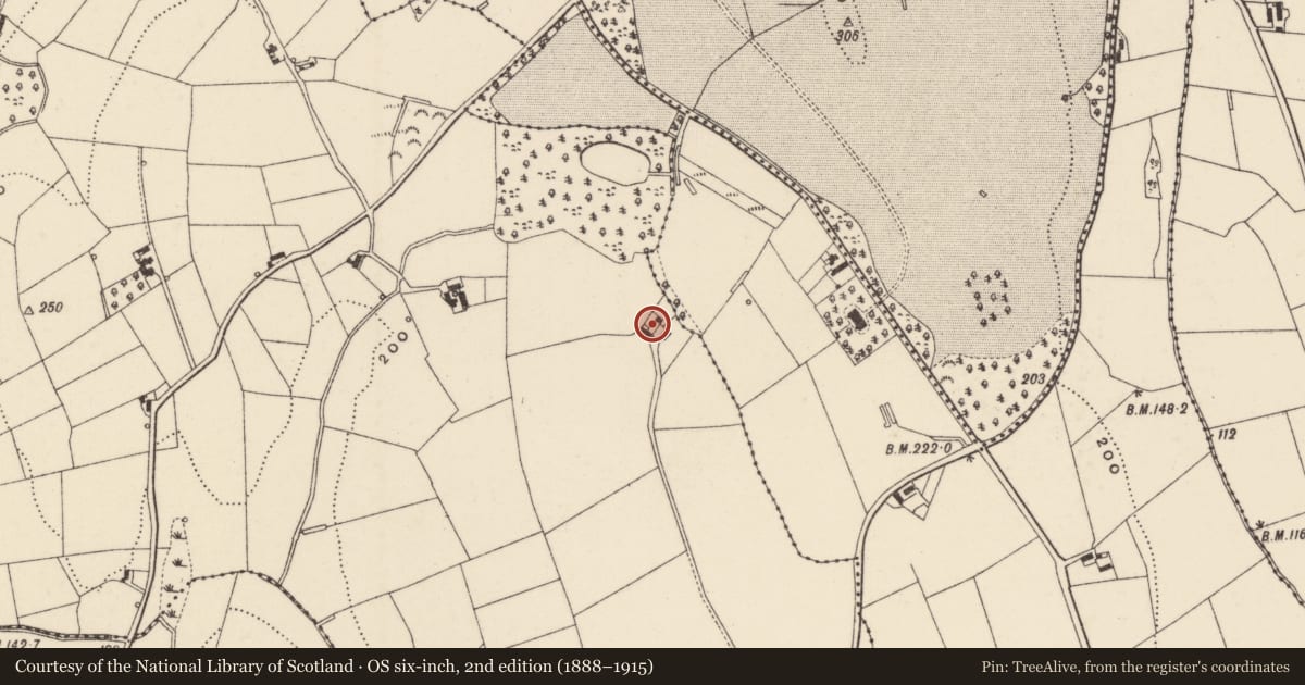 Ordnance Survey six-inch map, 2nd edition (1888–1915) covering the location of 82 Glen Road Newry Co.Down BT34 1TA, Ballylough, Newry, Mourne and Down, with a pin at the register's coordinates