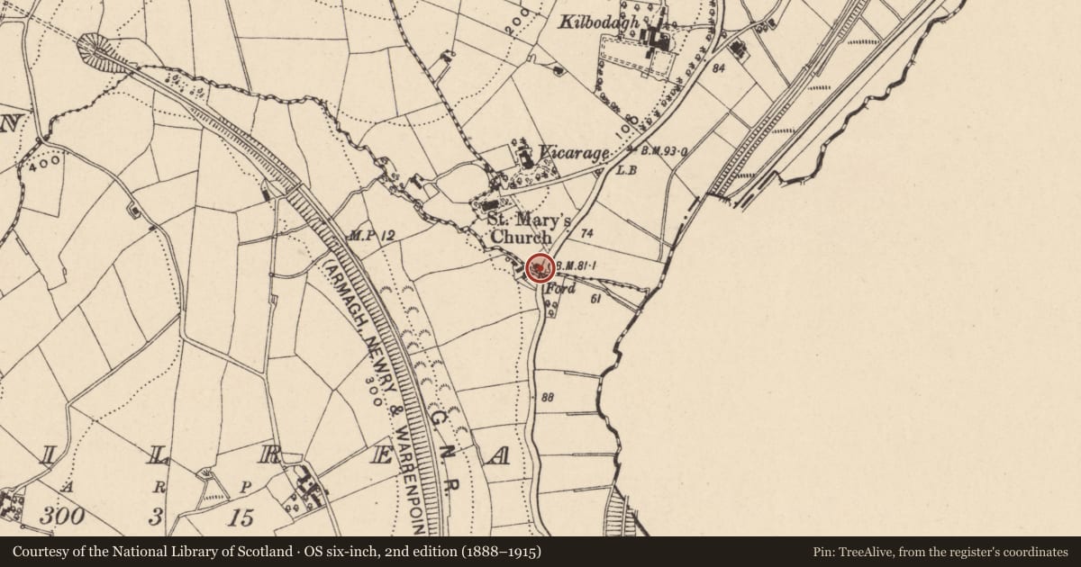 Ordnance Survey six-inch map, 2nd edition (1888–1915) covering the location of Former gardener's house Tandragee Road Lissummon Co.Armagh BT35 6LW, Drumbanagher, Newry, Mourne and Down, with a pin at the register's coordinates