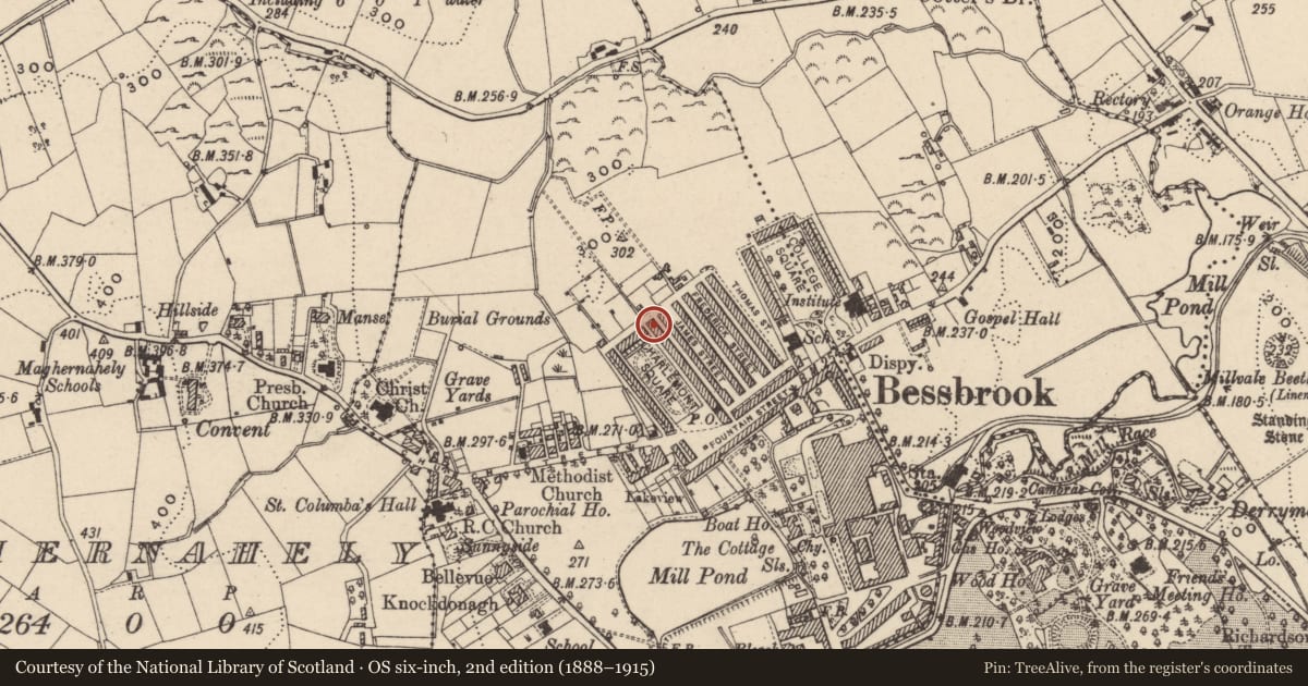 Ordnance Survey six-inch map, 2nd edition (1888–1915) covering the location of 31 Charlemont Square East, Clogharevan, Newry, Mourne and Down, with a pin at the register's coordinates