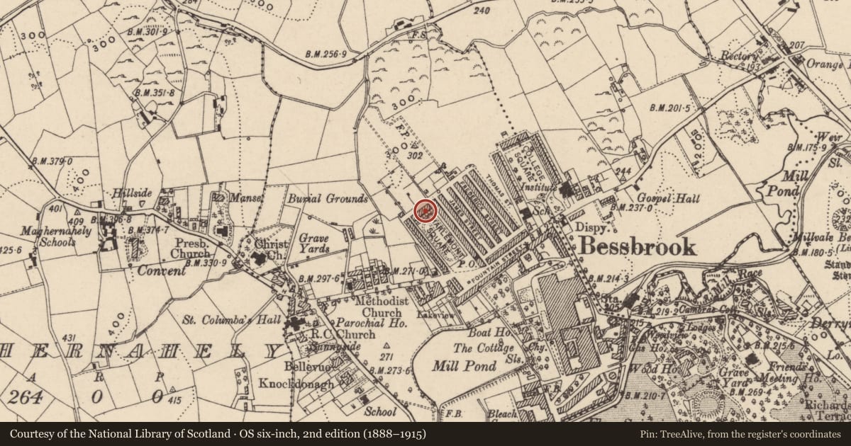 Ordnance Survey six-inch map, 2nd edition (1888–1915) covering the location of 3 Charlemont Square North, Clogharevan, Newry, Mourne and Down, with a pin at the register's coordinates