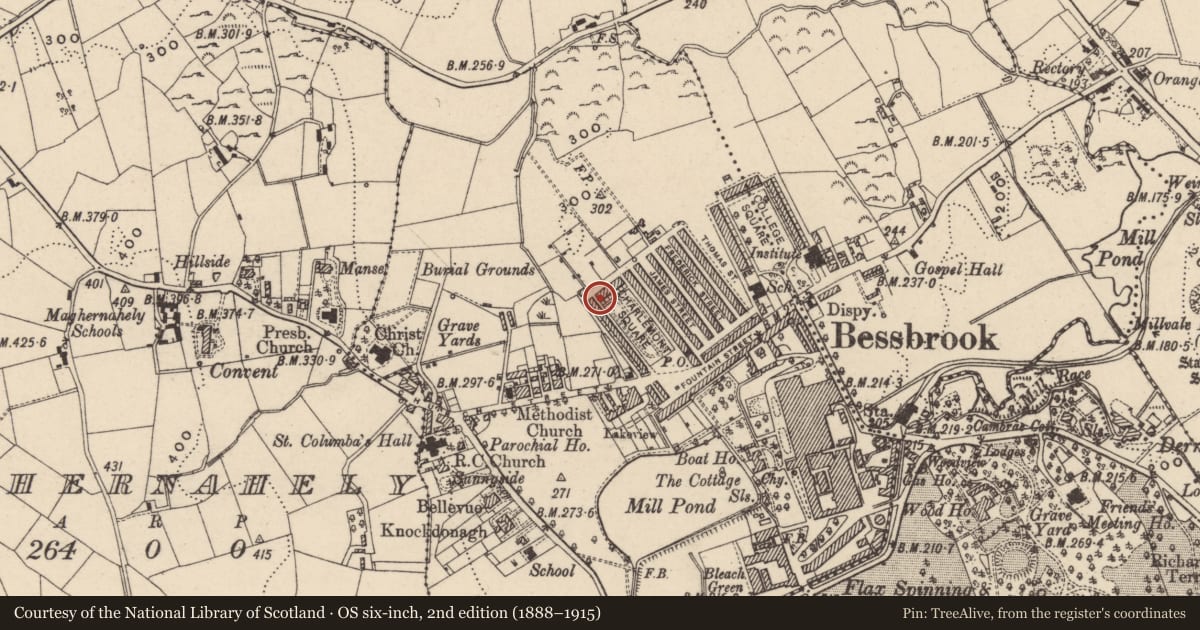 Ordnance Survey six-inch map, 2nd edition (1888–1915) covering the location of 8 Charlemont Square North, Clogharevan, Newry, Mourne and Down, with a pin at the register's coordinates