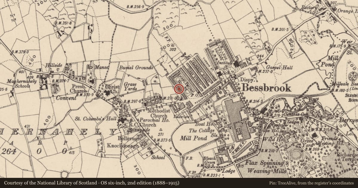 Ordnance Survey six-inch map, 2nd edition (1888–1915) covering the location of 11 Charlemont Square West, Clogharevan, Newry, Mourne and Down, with a pin at the register's coordinates