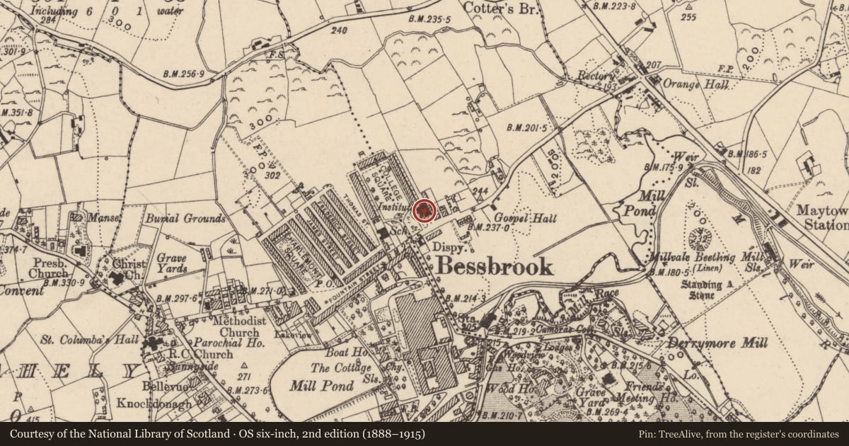 Ordnance Survey six-inch map, 2nd edition (1888–1915) covering the location of The Institute (Town Hall), Maytown, Newry, Mourne and Down, with a pin at the register's coordinates