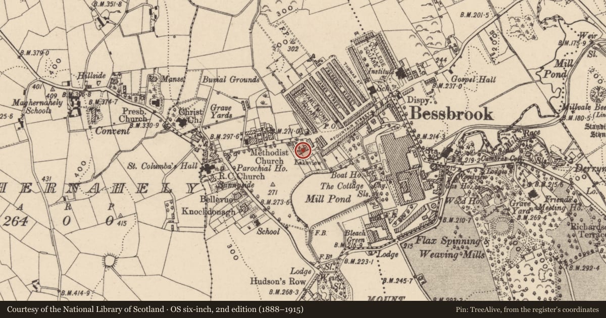 Ordnance Survey six-inch map, 2nd edition (1888–1915) covering the location of 2 LAKEVIEW, Clogharevan, Newry, Mourne and Down, with a pin at the register's coordinates
