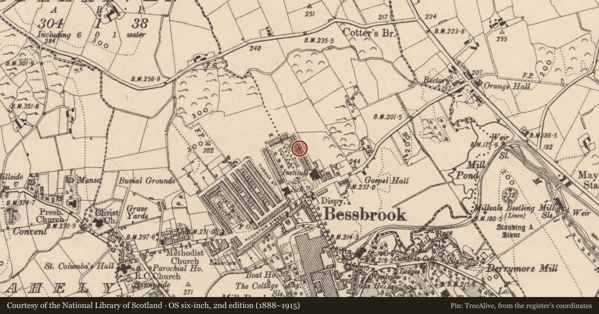 Ordnance Survey six-inch map, 2nd edition (1888–1915) covering the location of 15 College Square East, Maytown, Newry, Mourne and Down, with a pin at the register's coordinates