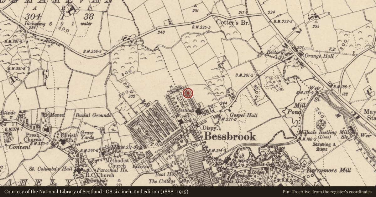 Ordnance Survey six-inch map, 2nd edition (1888–1915) covering the location of 17 College Square East, Maytown, Newry, Mourne and Down, with a pin at the register's coordinates