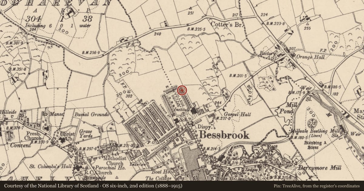 Ordnance Survey six-inch map, 2nd edition (1888–1915) covering the location of 20 College Square East, Maytown, Newry, Mourne and Down, with a pin at the register's coordinates