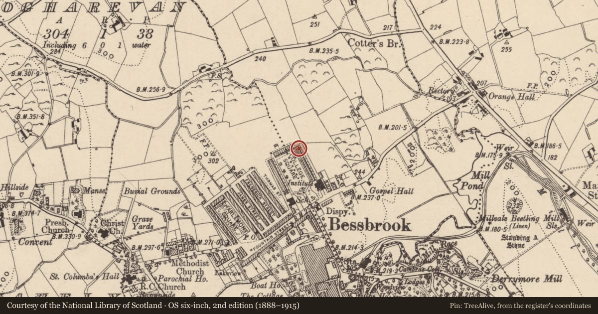 Ordnance Survey six-inch map, 2nd edition (1888–1915) covering the location of 22 College Square East, Maytown, Newry, Mourne and Down, with a pin at the register's coordinates