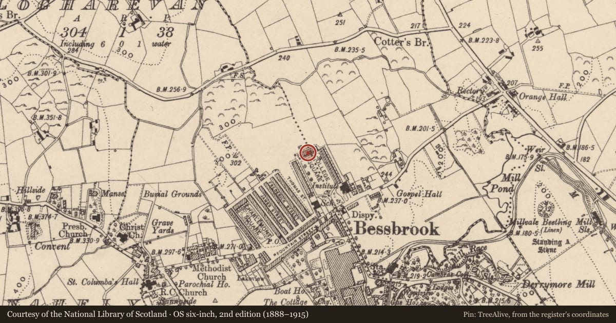Ordnance Survey six-inch map, 2nd edition (1888–1915) covering the location of 6 College Square North, Clogharevan, Newry, Mourne and Down, with a pin at the register's coordinates