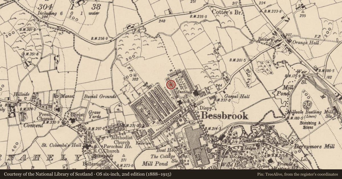 Ordnance Survey six-inch map, 2nd edition (1888–1915) covering the location of 12 College Square West, Newry, Mourne and Down, with a pin at the register's coordinates
