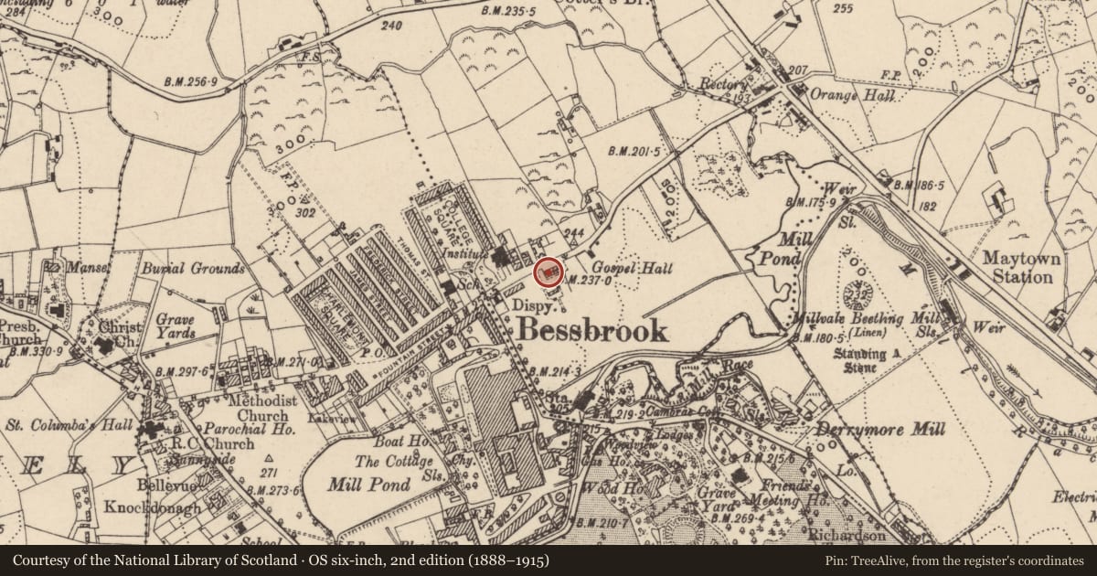 Ordnance Survey six-inch map, 2nd edition (1888–1915) covering the location of 3 Maytown Terrace, Newry, Mourne and Down, with a pin at the register's coordinates