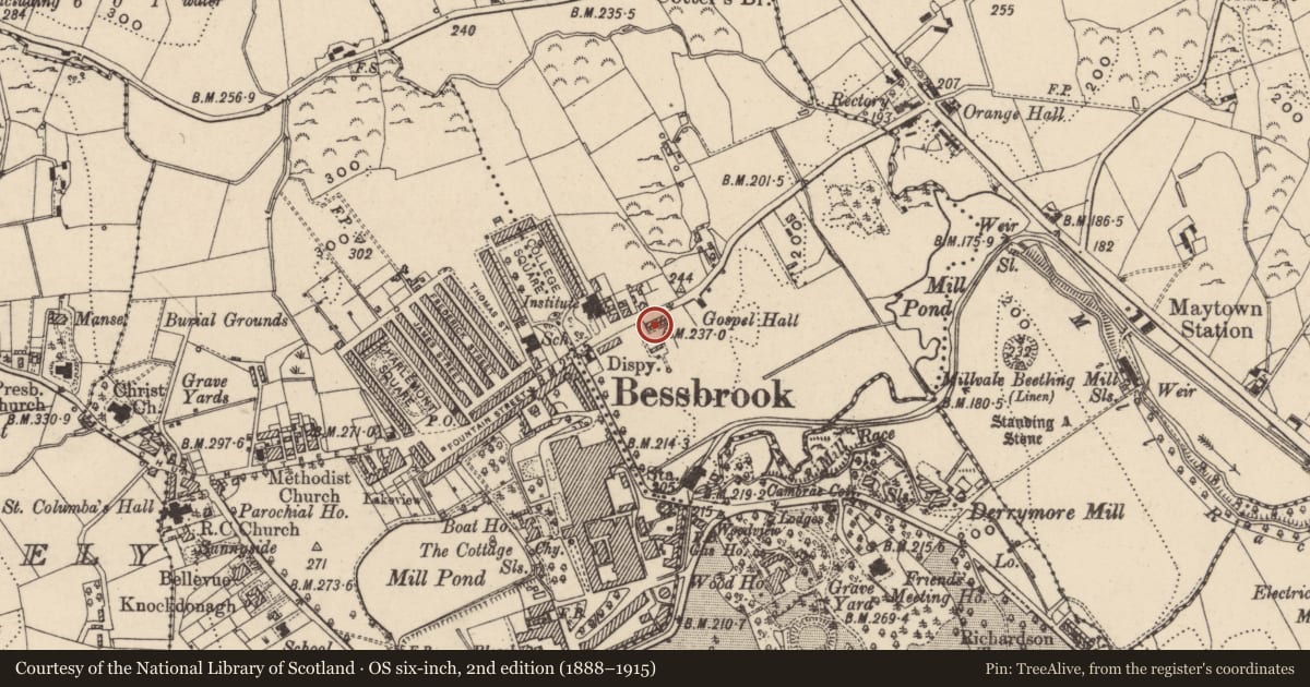 Ordnance Survey six-inch map, 2nd edition (1888–1915) covering the location of 4 Maytown Terrace, Newry, Mourne and Down, with a pin at the register's coordinates