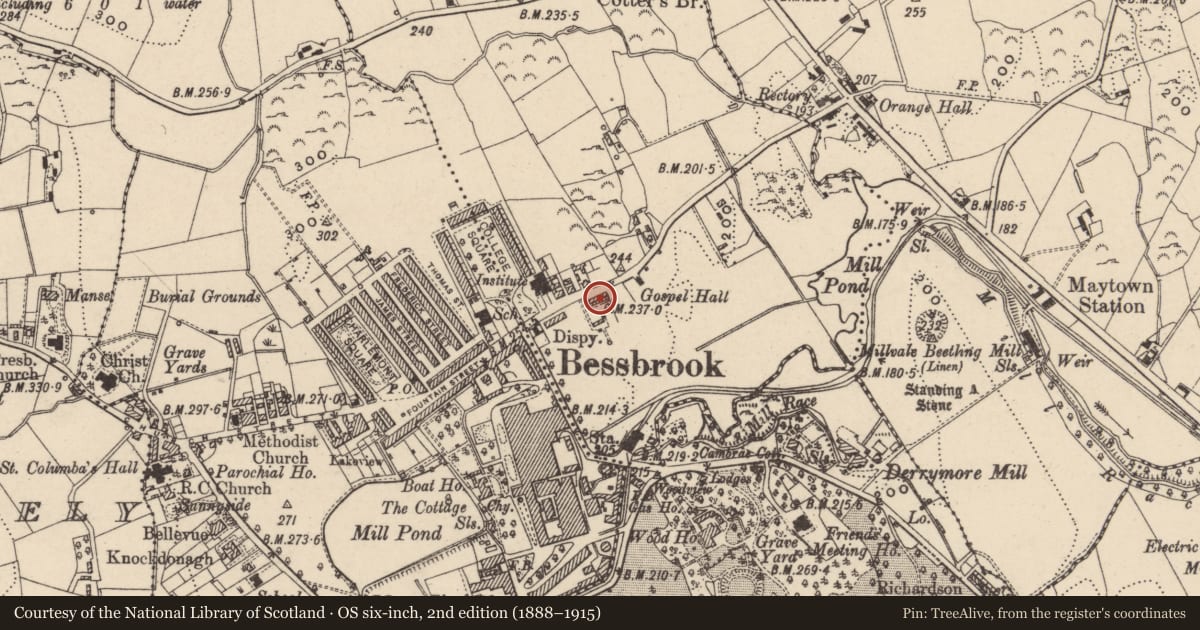 Ordnance Survey six-inch map, 2nd edition (1888–1915) covering the location of 5 Maytown Terrace, Newry, Mourne and Down, with a pin at the register's coordinates