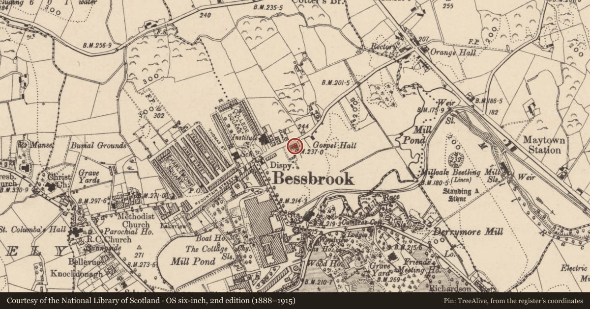 Ordnance Survey six-inch map, 2nd edition (1888–1915) covering the location of 6 Maytown Terrace, Newry, Mourne and Down, with a pin at the register's coordinates
