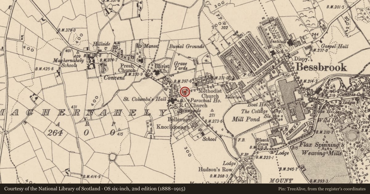 Ordnance Survey six-inch map, 2nd edition (1888–1915) covering the location of Abbey View, Newry, Mourne and Down, with a pin at the register's coordinates