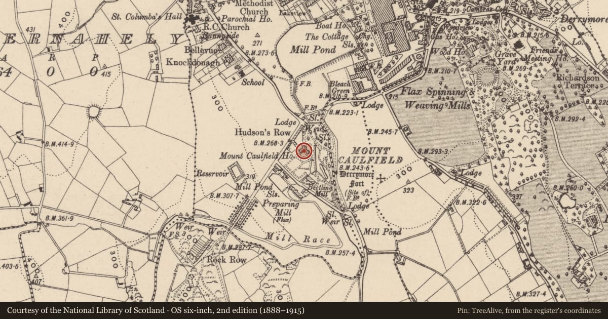 Ordnance Survey six-inch map, 2nd edition (1888–1915) covering the location of Mount Caulfield House, Newry, Mourne and Down, with a pin at the register's coordinates