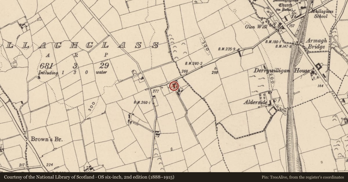 Ordnance Survey six-inch map, 2nd edition (1888–1915) covering the location of 15 Crabtree Hill, Newry, Mourne and Down, with a pin at the register's coordinates