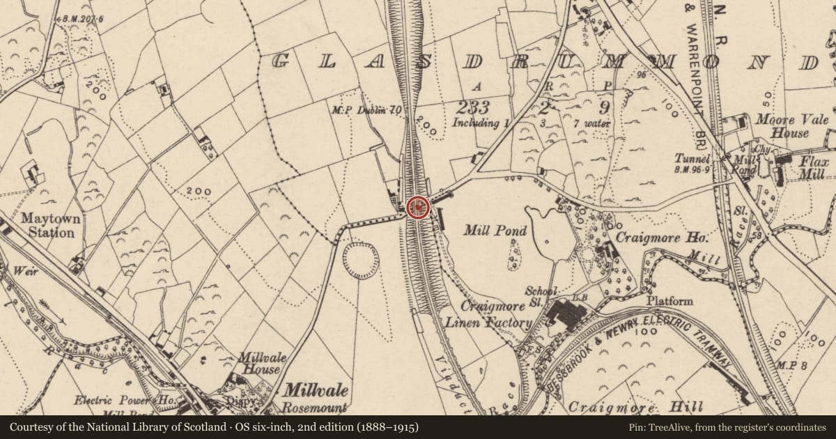 Ordnance Survey six-inch map, 2nd edition (1888–1915) covering the location of Railway Bridge Under The Belfast-Dublin Railway Line, Newry, Mourne and Down, with a pin at the register's coordinates